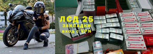 индика Беломорск