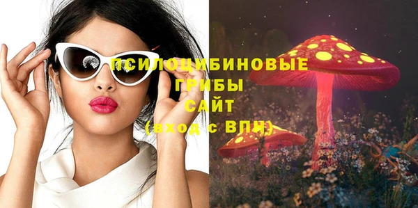 марки lsd Белокуриха