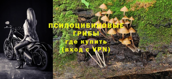 индика Беломорск
