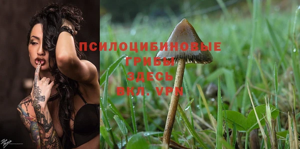 индика Беломорск