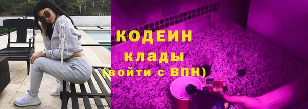 индика Беломорск