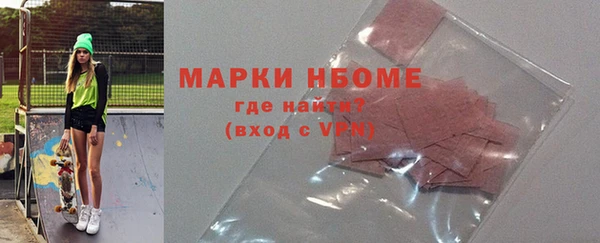 индика Беломорск