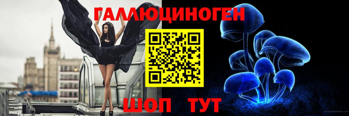 Галлюциногенные грибы Psilocybe Маркс